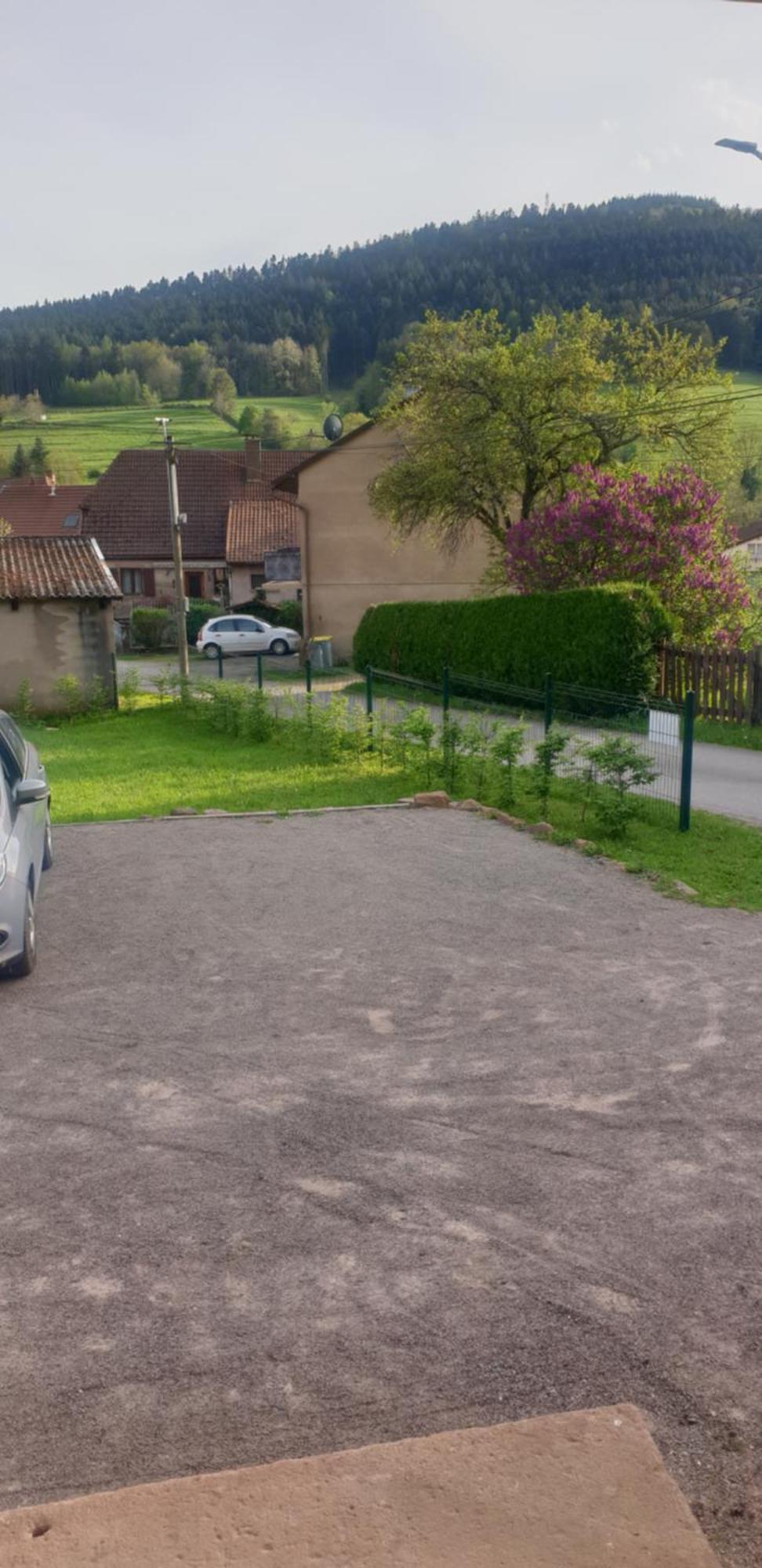 Appartement La Fermette Vosgienne De La Goutte à Steige Extérieur photo