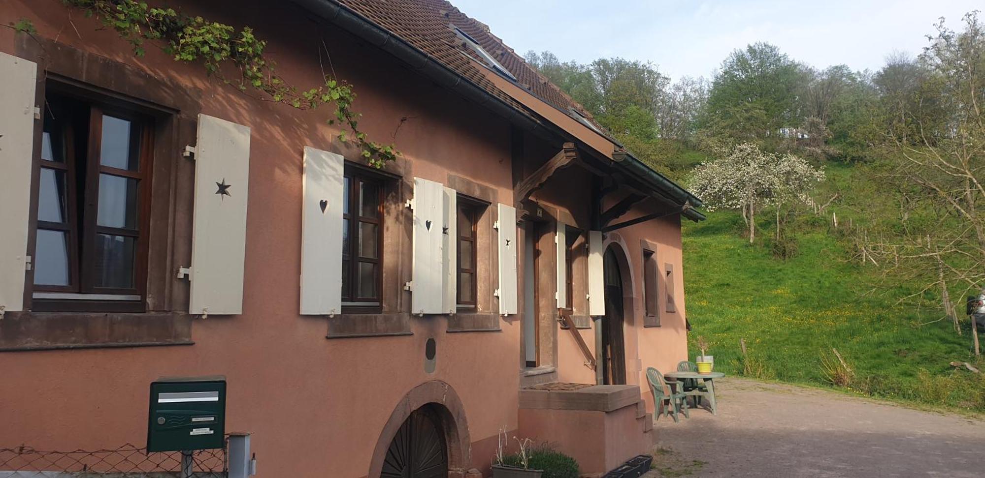 Appartement La Fermette Vosgienne De La Goutte à Steige Extérieur photo