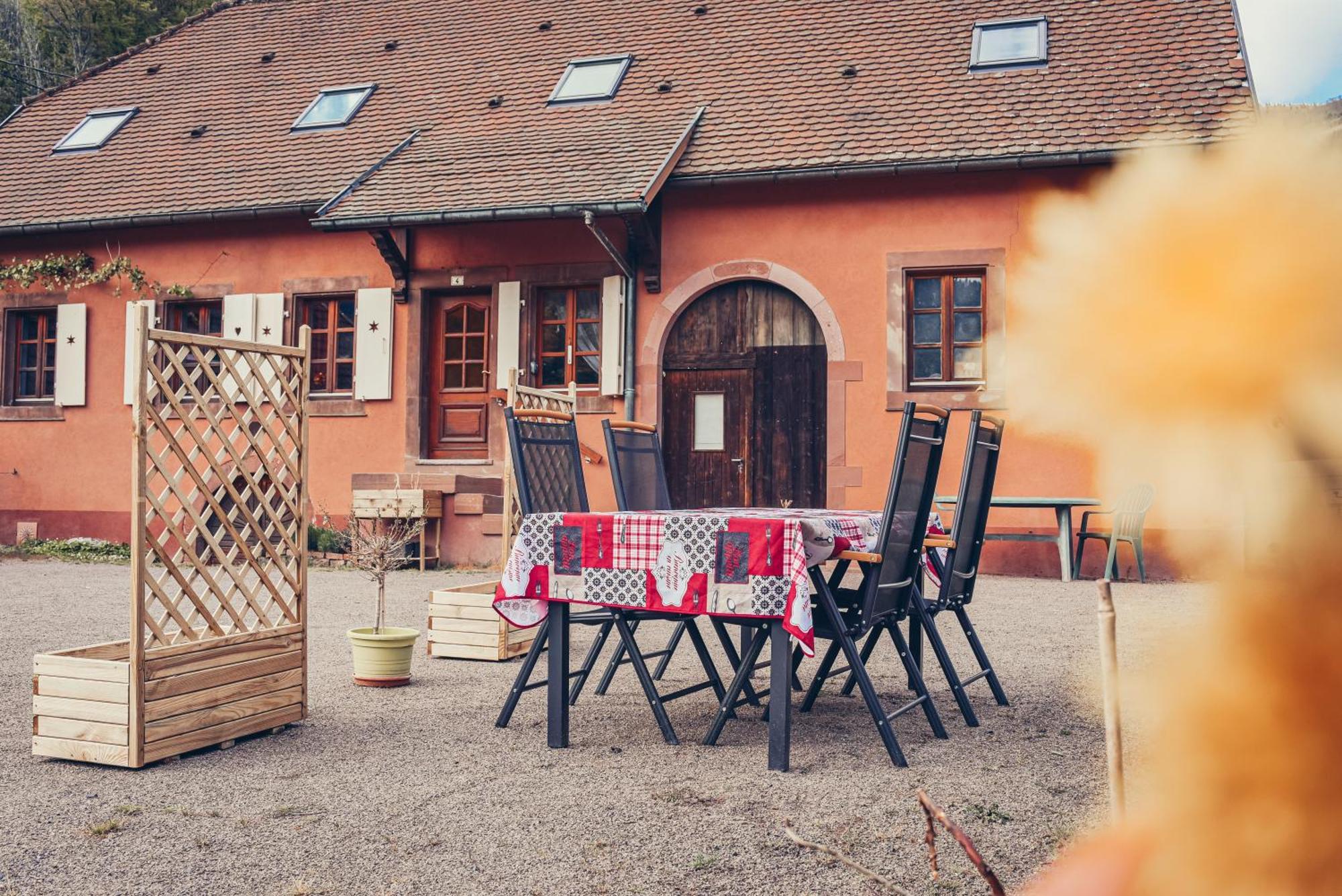 Appartement La Fermette Vosgienne De La Goutte à Steige Extérieur photo