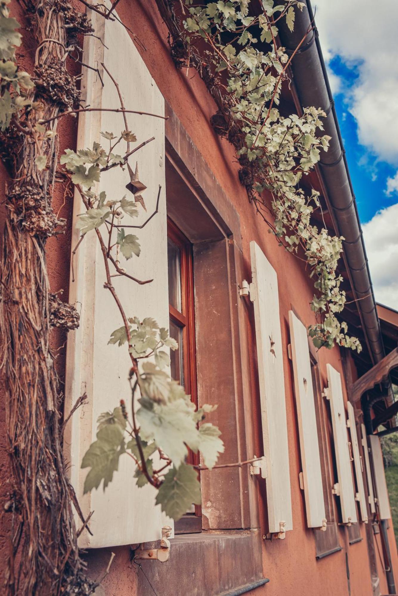 Appartement La Fermette Vosgienne De La Goutte à Steige Extérieur photo