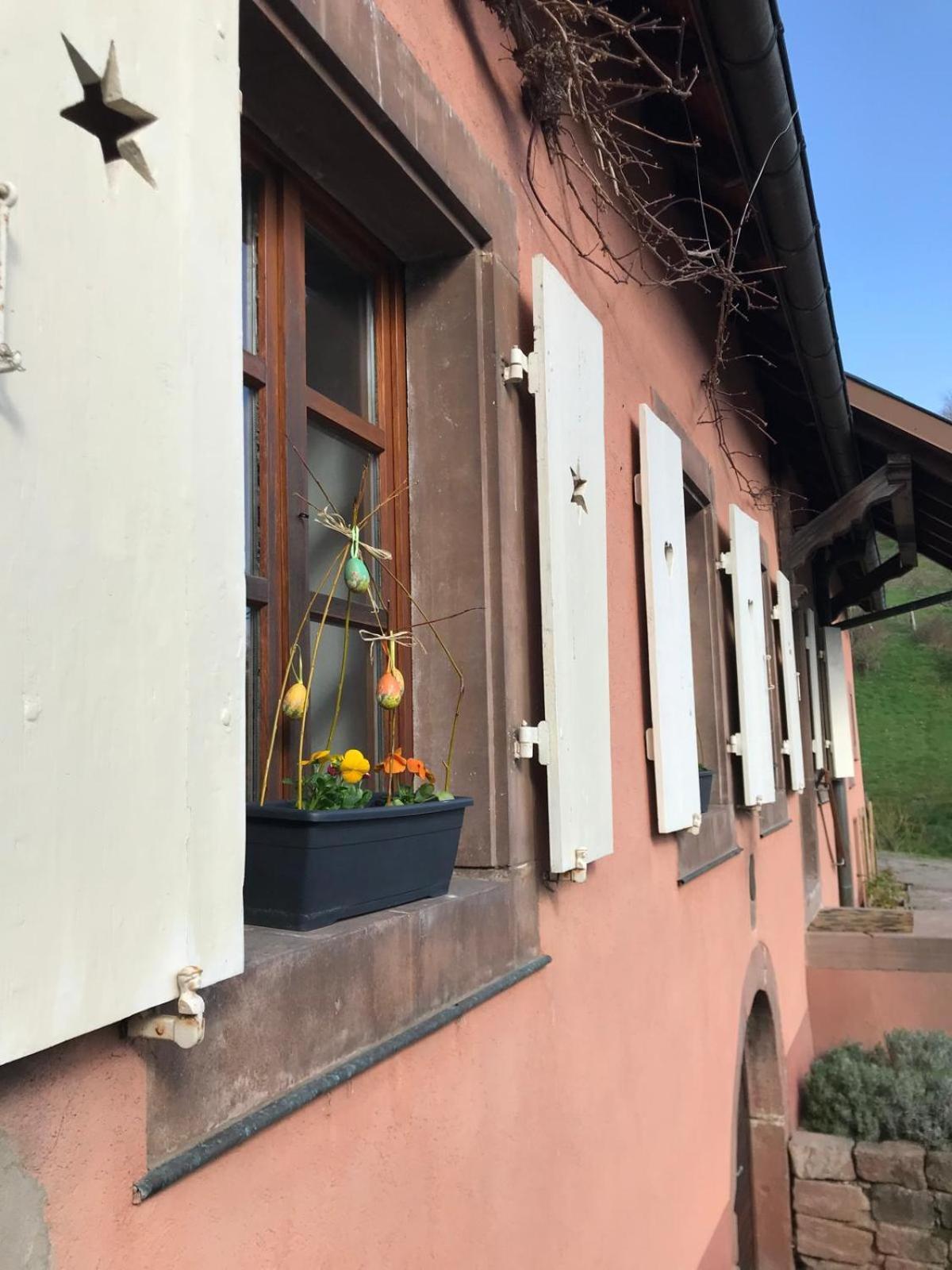Appartement La Fermette Vosgienne De La Goutte à Steige Extérieur photo