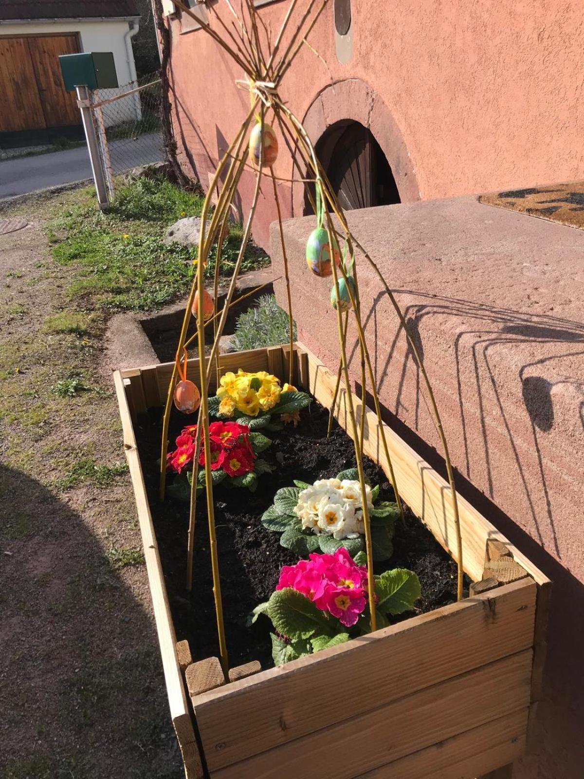 Appartement La Fermette Vosgienne De La Goutte à Steige Extérieur photo